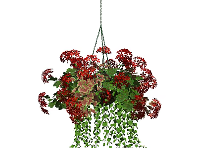 Hanging Basket Plant With Red Flowers Green Leaves And Cascading Foliage For Home Decor 3d model