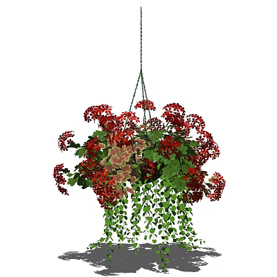 Hanging Basket Plant With Red Flowers Green Leaves And Cascading Foliage For Home Decor 3d model