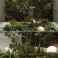 Lush Green Shrub In Modern Courtyard With Black Textured Wall Round Lighting And Concrete Planter