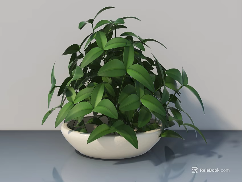 Modern Swing Door Design With Green Potted Plant On Gray Countertop 3d model 