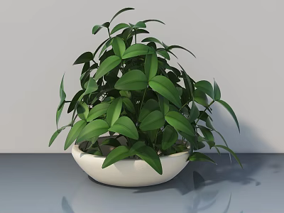 Modern Swing Door Design With Green Potted Plant On Gray Countertop 3d model