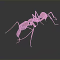 Detailed 3D Rendered Ant Close Up View Showing Body Antennae And Legs
