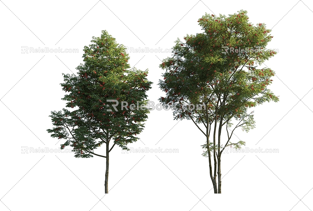 The Modern Tree 3d model