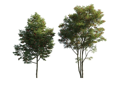 The Modern Tree 3d model