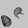 Yellow Green Creature With Open Cavity And Black Spheres Near Smaller Creature