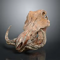 Detailed Ancient Weathered Animal Skull With Curved Horns Skeletal Features And Natural Texture