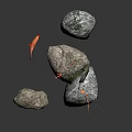 Vibrant Red Fish Floating Near Mossy Rocks With Fishing Line Details