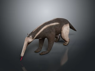 Anteater With Long Snout And Extended Red Tongue Standing On Gray Surface 3d model