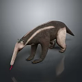 Anteater With Long Snout And Extended Red Tongue Standing On Gray Surface