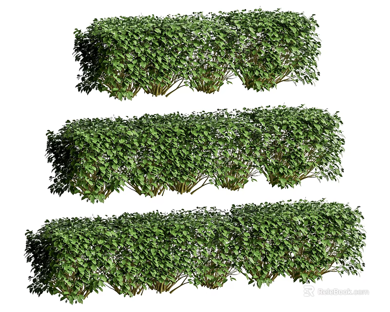 Lush Green Bushes With Dense Foliage In Multiple Rows For Garden Design 3d model 