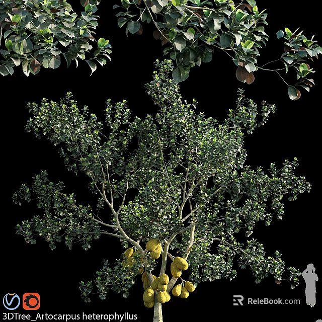 Garden Ornament Tree With Lush Green Leaves Yellow Fruits And Twiggy Branches 3d model 