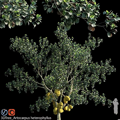 Garden Ornament Tree With Lush Green Leaves Yellow Fruits And Twiggy Branches 3d model