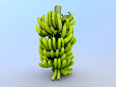 Modern banana raw banana green banana 3d model Modern banana raw banana green banana 3d model