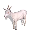 White Goat With Brown Horns And Yellow Eyes Standing Isolated