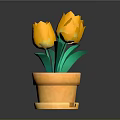 Yellow Tulips In Terracotta Pot With Green Leaves And Red Soil
