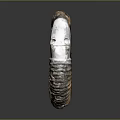 Well Preserved Extinct Ammonite Fossil Marine Animal With Spiral Shell Structure And Detailed Texture