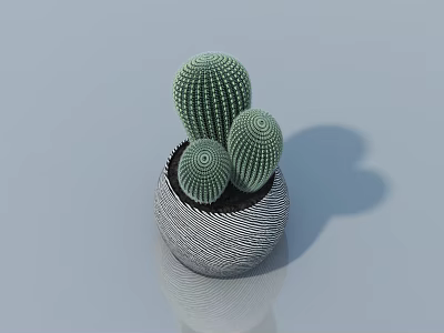 Indoor Bonsai Potted Plant With Three Cactus Shaped Plants In Gray Textured Pot 3d model