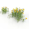 Decorative Bonsai Potted Plant With Yellow Flowers For Indoor Decoration