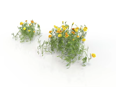 Decorative Bonsai Potted Plant With Yellow Flowers For Indoor Decoration 3d model