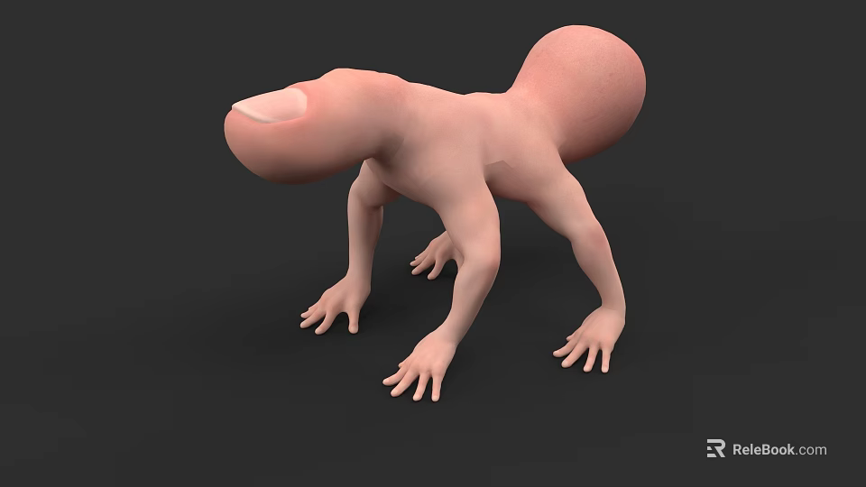 Pink Reptile 3D Model With Smooth Skin And Four Limbs On Black Background 3d model 