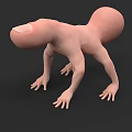 Pink Reptile 3D Model With Smooth Skin And Four Limbs On Black Background