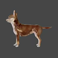 Game and Movie Character Chihuahua in Brown and White Standing Pose on Green Background