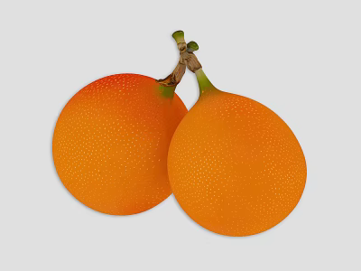 Two Fresh Ripe Oranges With Dotted Orange Skin And Green Stems On Plain Background 3d model