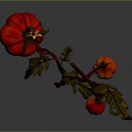 Ripe Red Tomatoes on Green Stem with Fresh Leaves and Juicy Texture