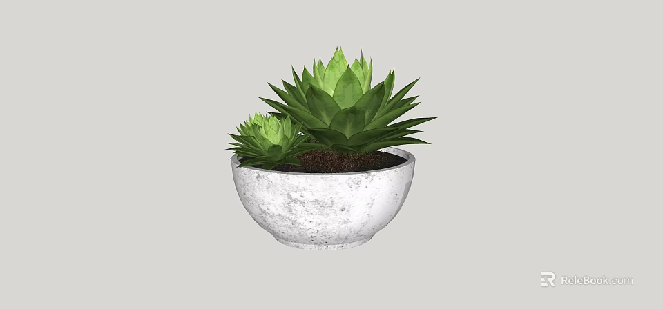 Two Green Succulent Plants with Fleshy Leaves in White Concrete Pot 3d model 