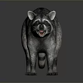 Detailed 3D Raccoon Model With Realistic Fur Texture And Standing Pose On Gray Background