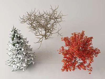 Different Seasonal Arbor Trees Featuring Snow Covered Evergreen Leafless And Red Leaved Types 3d model