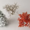Different Seasonal Arbor Trees Featuring Snow Covered Evergreen Leafless And Red Leaved Types