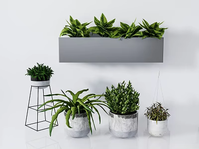 modern potted plant green plant potted plant 3d model