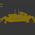 Vibrant Blue Purple Crab With Large Claws And Legs On Dark Background With Reflection