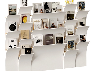 Modern Decorative Bookshelf model