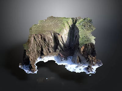3D Terrain Model Featuring Cliff Grass And Snow Covered Rock Formation 3d model