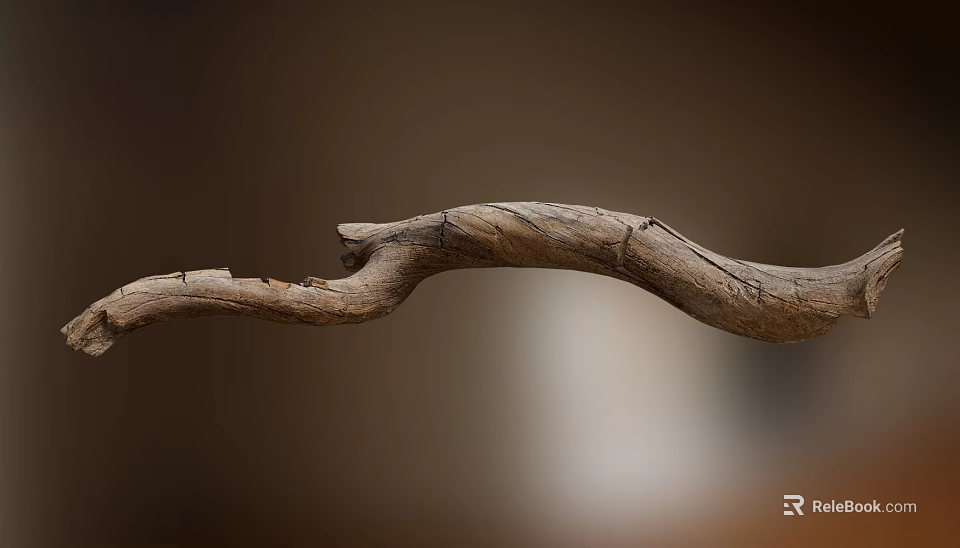 Natural Curved Weathered Wooden Branch With Textured Surface And Smooth Grain 3d model 