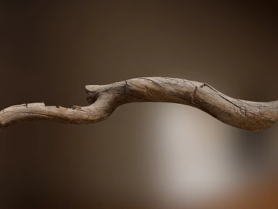 Natural Curved Weathered Wooden Branch With Textured Surface And Smooth Grain 3d model