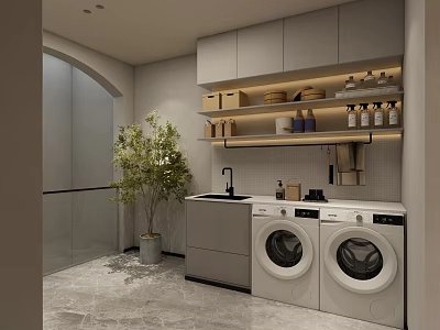 Modern Laundry Room With Washing Machine Dryer Cabinets Sink And Green Plant 3d model