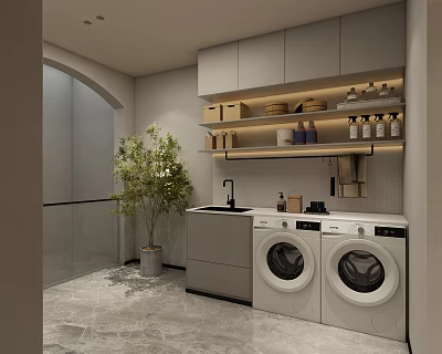 Modern Laundry Room With Washing Machine Dryer Cabinets Sink And Green Plant 3d model
