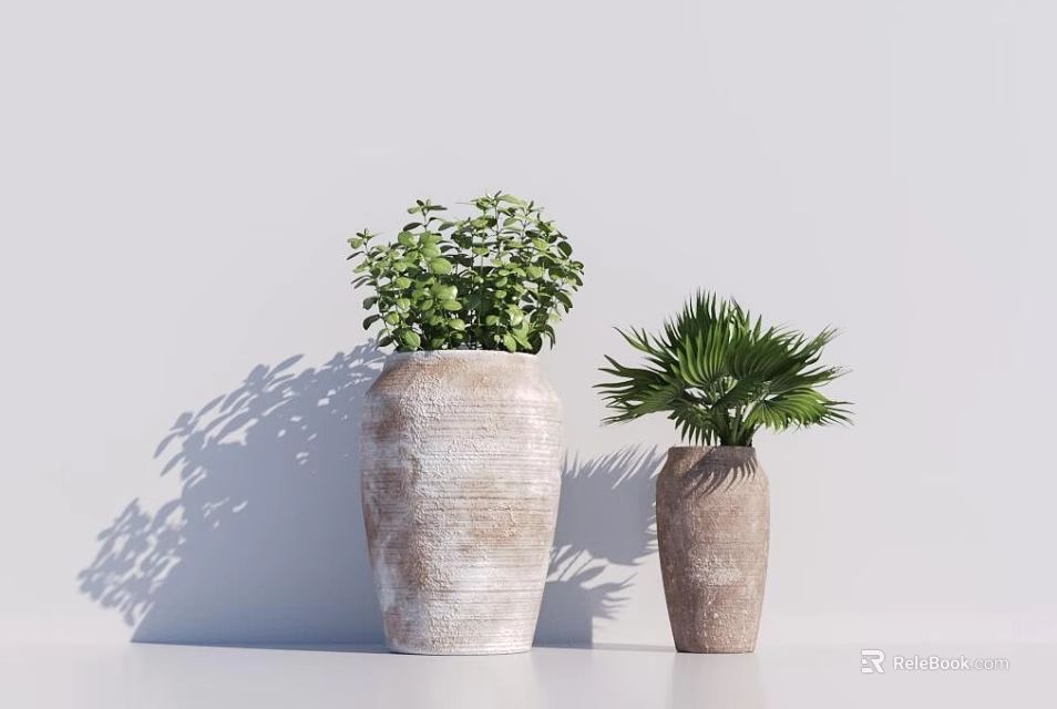 Potted Bonsai Plants With Different Sizes Terracotta Textured Pots Green Leaves And Palm Foliage 3d model 
