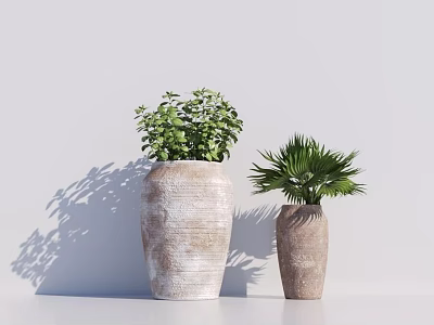 Potted Bonsai Plants With Different Sizes Terracotta Textured Pots Green Leaves And Palm Foliage 3d model