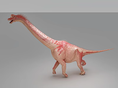Realistic Reptile Figure Featuring Long Neck Pink Red Patterns And Spiked Back Design 3d model