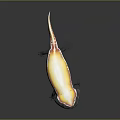 Vibrant Aquatic Salamander Featuring Long Body Smooth Skin And Distinctive Yellow Orange Black Color Pattern