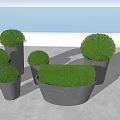 Several Round Topiary Bonsai Potted Plants In Gray Concrete Planters With Ocean View
