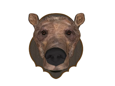 Realistic Bear Head Animal Wall Decor With Wooden Frame Design 3d model