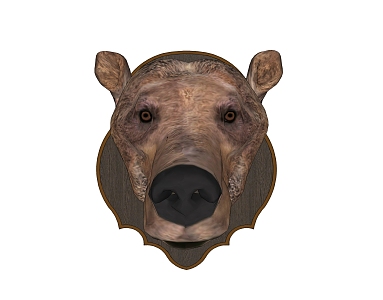 Bear Head Wall Decoration 3d model