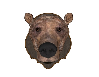 Bear Head Wall Decoration 3d model