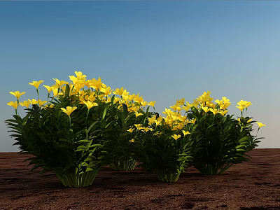 Vibrant Shrubs With Yellow Flowers Against Clear Blue Sky And Brown Ground 3d model