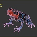 Frog Frog Frog Poison Frog Game Frog Reptile Cold Blooded Animal Reptile Reptile 3d model